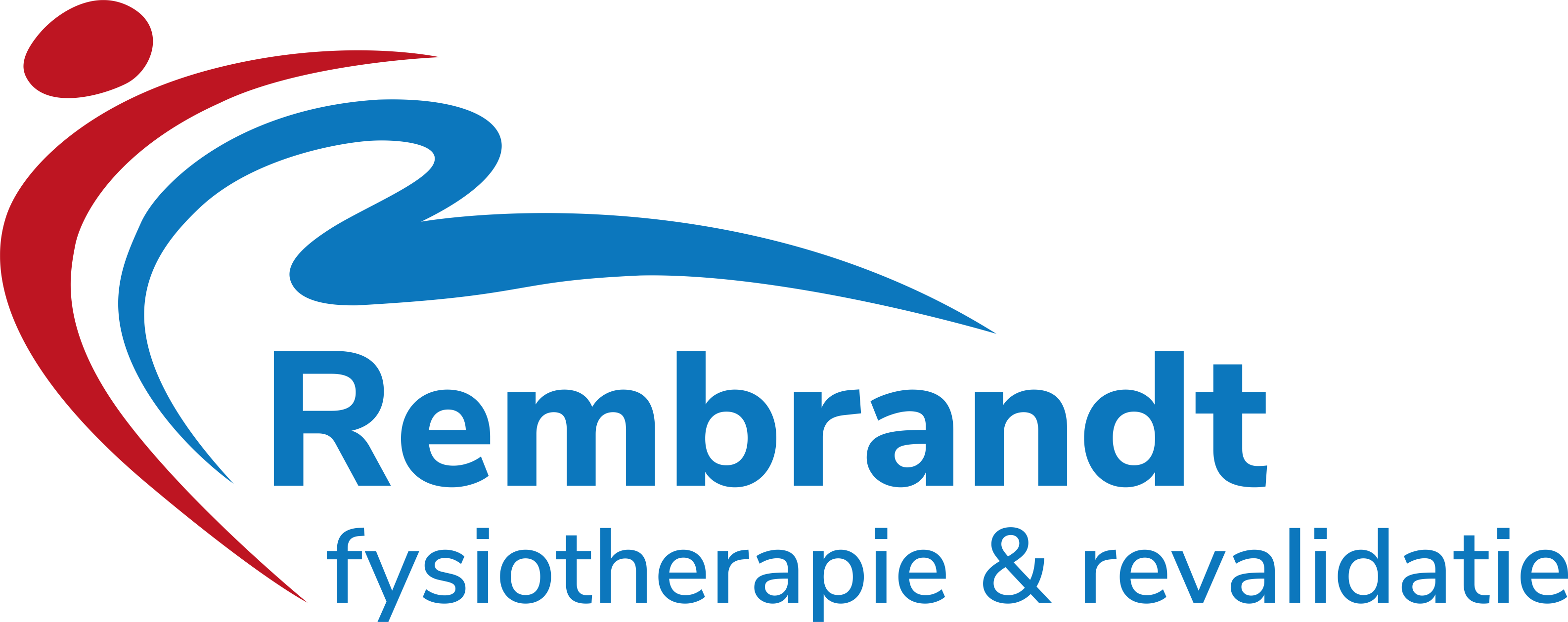 Rembrandt Fysiotherapie